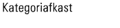 Kategoriafkast